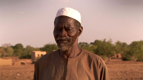 Sahelzone: Wie es einzelne Bauern schafften, eine ganze Region vor der Verwüstung zu retten