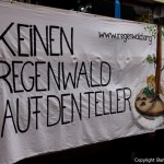 march against monsanto berlin (20)