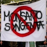 march against monsanto berlin (4)