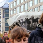 march against monsanto berlin (45)
