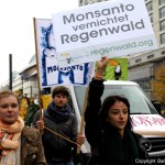 march against monsanto berlin (49)