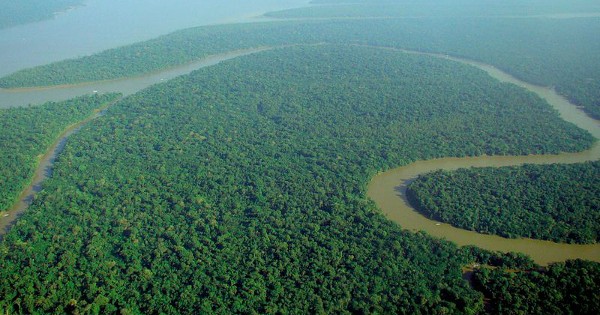 „Terra Preta“ – Schwarzerde der Amazonas-Kultur als Rettung für die weltweit ausgelaugten Böden