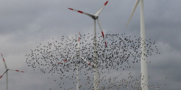 Demo: Energiewende retten – Kohlekraftwerke stoppen am 30. November in Berlin