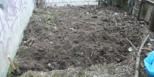 Mein Urban Gardening Projekt: Der Anfang