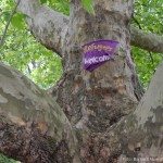 Baum am Oranienplatz in Berlin: Refugees Welcome.